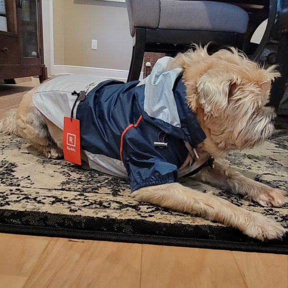 ❤️ Host Pick ❤️ Lightweight Dog Hooded Rain Jacket M - Picture 8 of 16